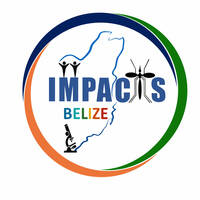 IMPACTS Logo