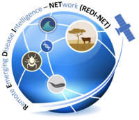 Redi Net Logo