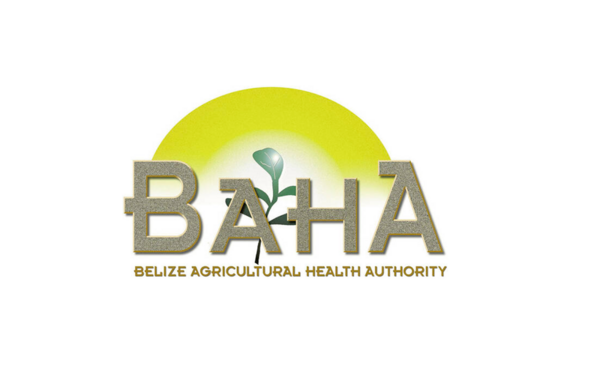 Logo Baha