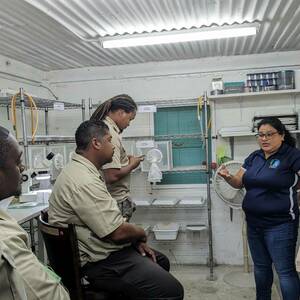 Insectary Overview - Training
