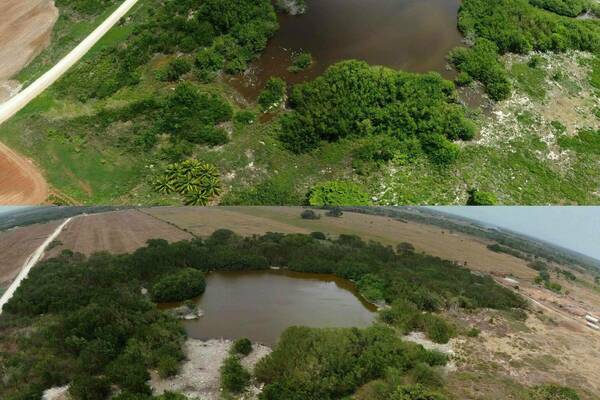Water Level Comparison